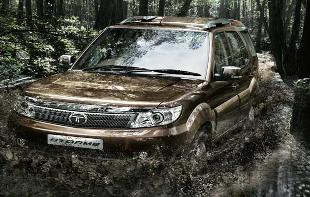 Safari Storme